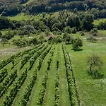 Weingarten & Auszeit With Private Söchau
