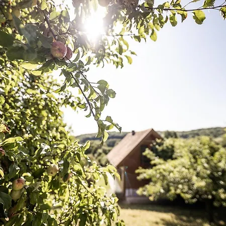 Weingarten & Auszeit With Private Апартаменты Soechau