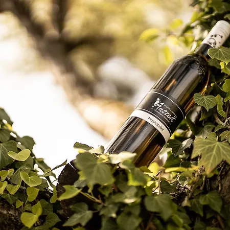 Weingarten & Auszeit With Private Soechau