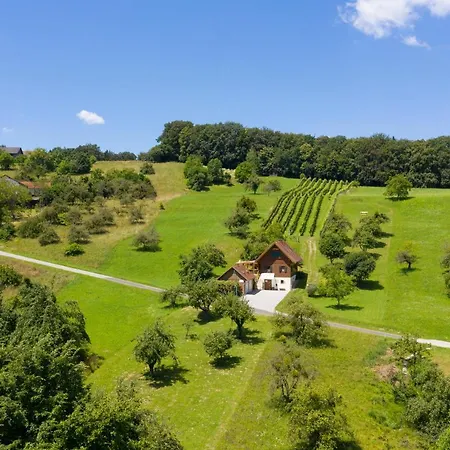 Apartment Weingarten & Auszeit With Private
