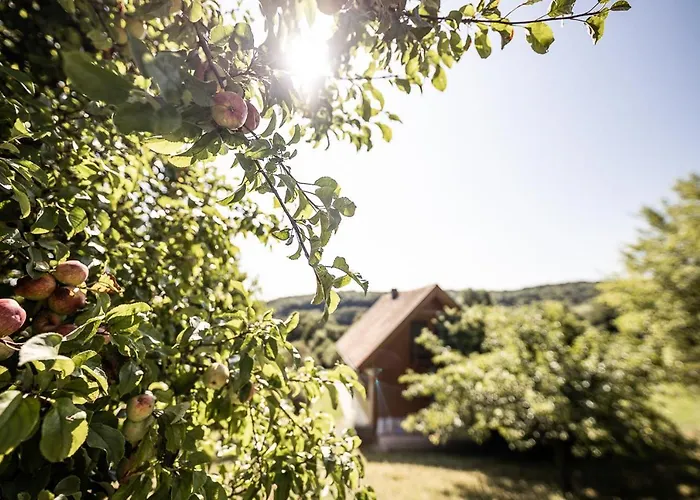 Weingarten & Auszeit With Private Apartmán Söchau