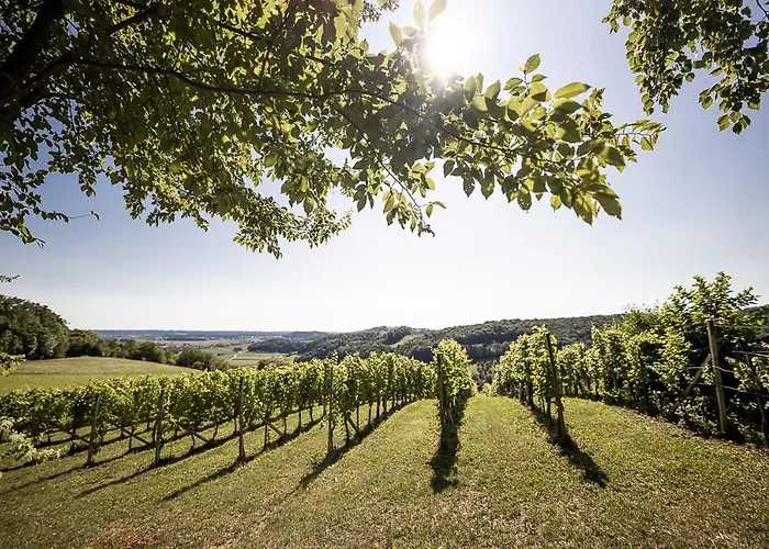 Weingarten & Auszeit With Private *