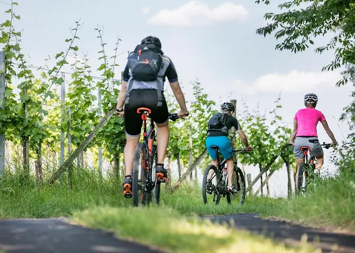 Weingarten & Auszeit With Private * Söchau