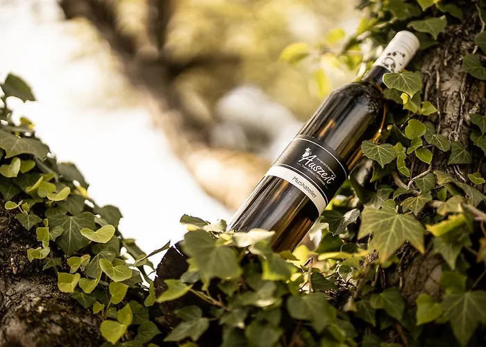 Weingarten & Auszeit With Private Söchau