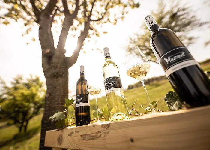 Weingarten & Auszeit With Private Lägenhet