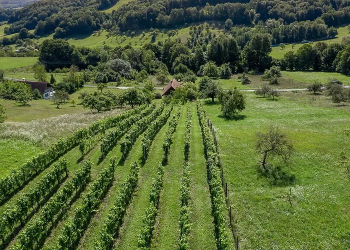 Weingarten & Auszeit With Private Söchau